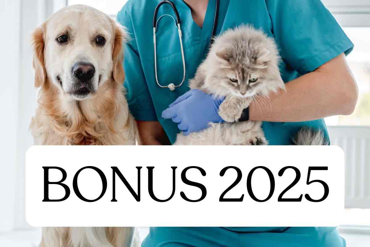 Cane gatto veterinario bonus